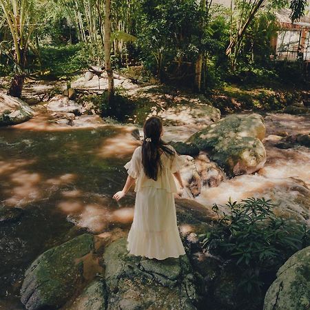 เดอะริเวอร์ แม่กำปอง The River Maekampong Chiang Mai Ban Pok Nai Bagian luar foto