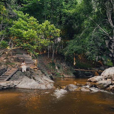 เดอะริเวอร์ แม่กำปอง The River Maekampong Chiang Mai Ban Pok Nai Bagian luar foto